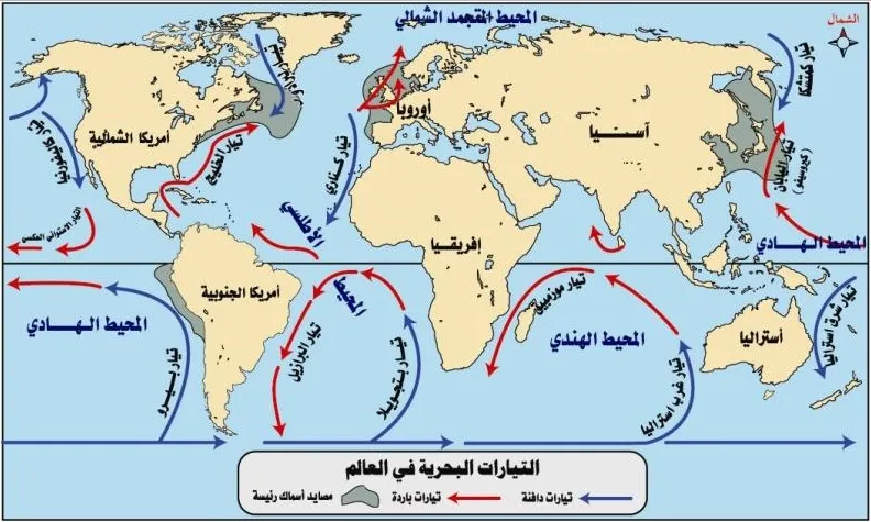 التيارات البحرية الباردة والدافئة